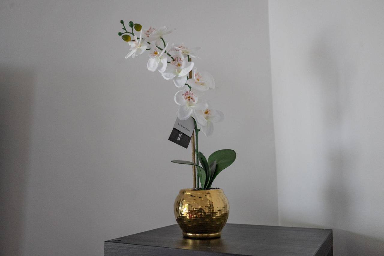 Vila London - 4 Bed - Sleeps 8 - Garden - Pet Friendly Exteriér fotografie